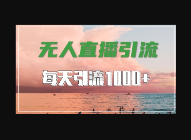 抖音快手视频号全平台通用，无人直播引流法，超暴力引流1000+高质量精准创业粉-朝晞小屋